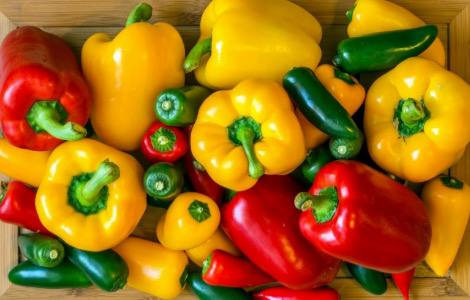 Προϊόντα που βοηθούν στην ενεργοποίηση του ανοσοποιητικού συστήματος